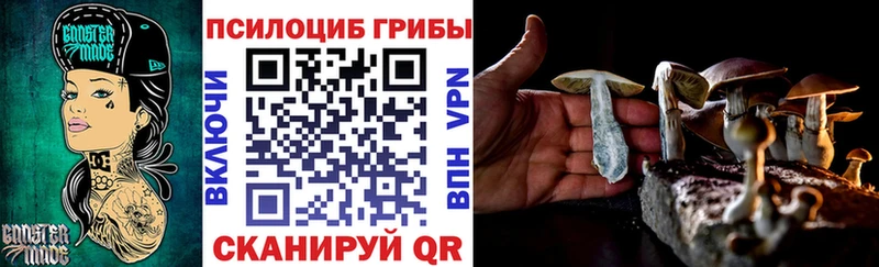 цена наркотик  Камешково  МЕГА вход  Псилоцибиновые грибы Psilocybine cubensis 